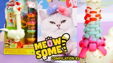 Meowsome ASMR Compilation | Unboxing New Gadgets and Testing Fidget Toys by Cute Cat
