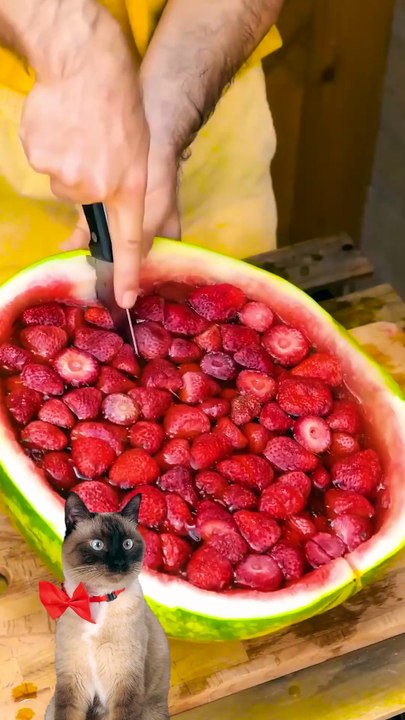 Meow-some Adventures: The Journey of Zilya, Matvey, and Aliya