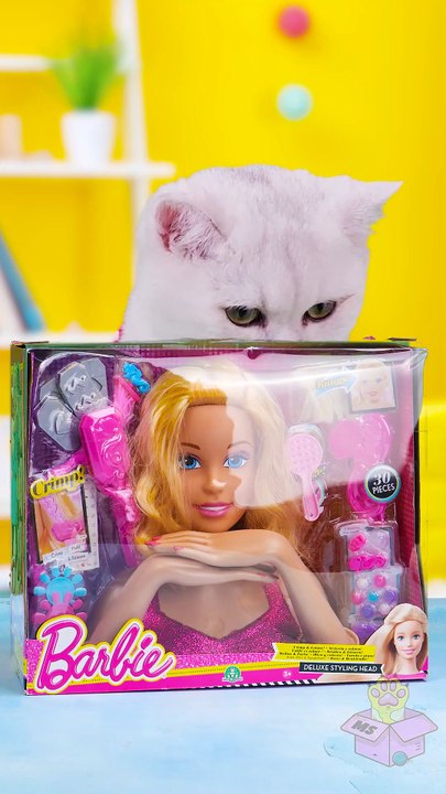 Meowsome Compilation #1 | Satisfying Unboxing and Reviewing Cool Gadgets and Tools by Cute Cat 😻