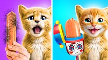 Explore Crazy-Meowzy Kitchen Hacks with Fluffy Kitty! 😻🐾 ASMR Cooking by MEOWSOME