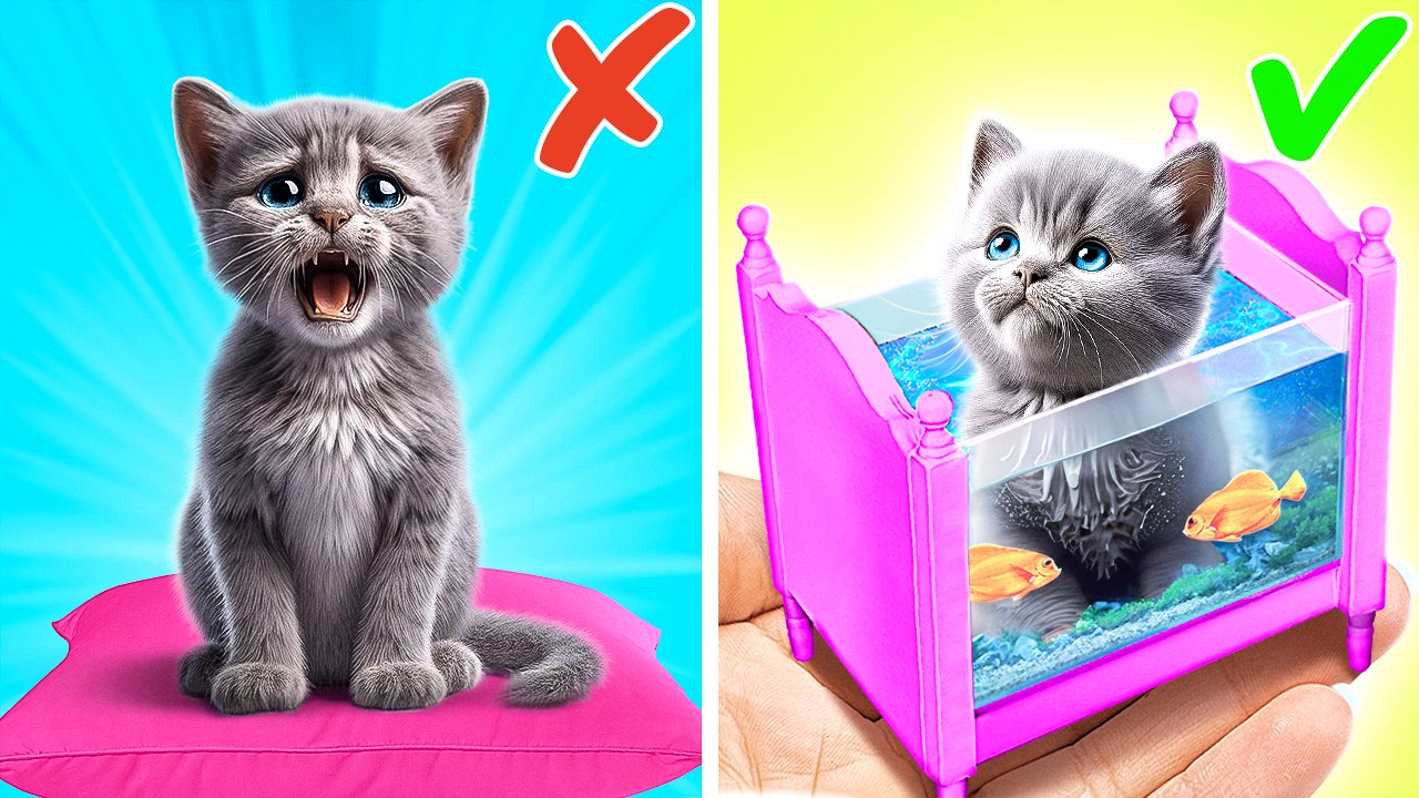 Kitty Turned his Room Into a Fish Tank! 🙀 🌊 Purr-fectly MEOW-SOME DIY Crafts and Hacks!