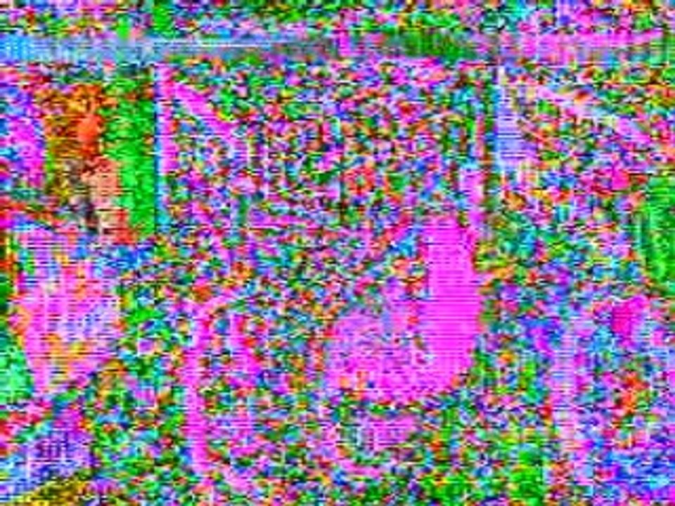 bebe perruche a collier