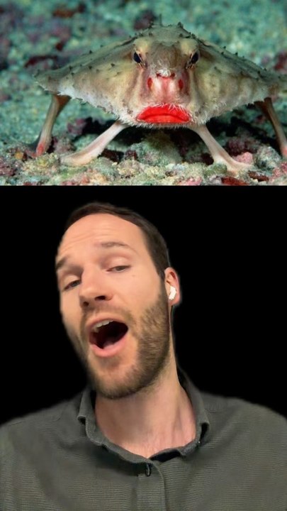 Un POISSON avec du ROUGE A LEVRE