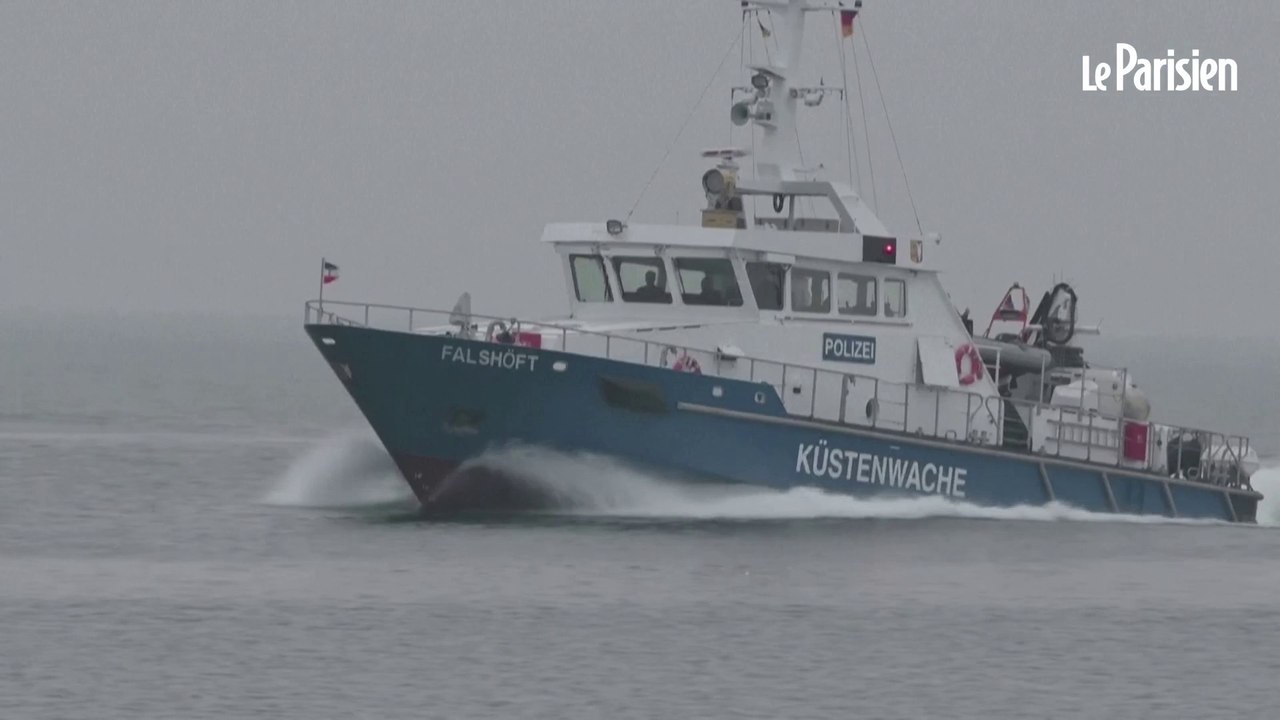 Baleine à bosse échouée en Allemagne : l'espoir de la sauver diminue