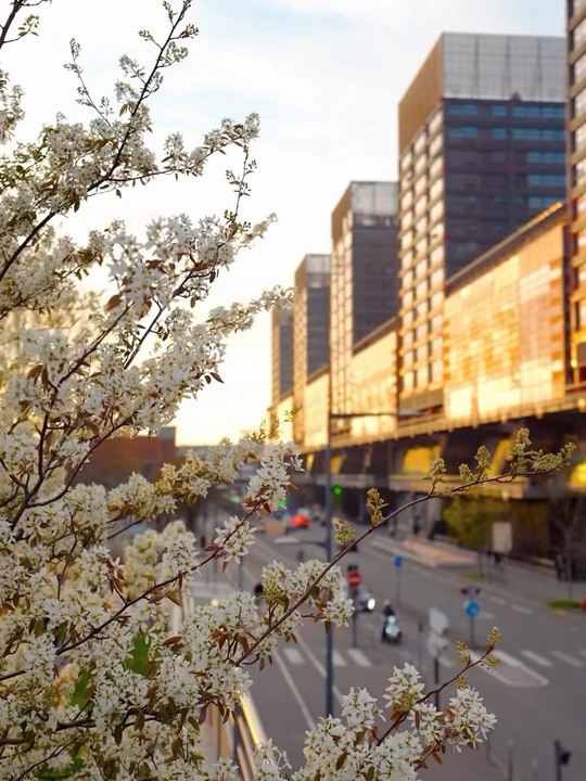 Ça c’est Lille ou le Japon ? Sincèrement on s’y perd
