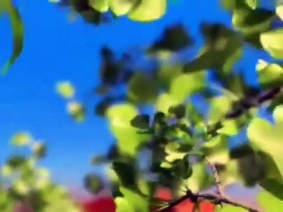 Nova TV 21.03.2007. - Reklame i najave