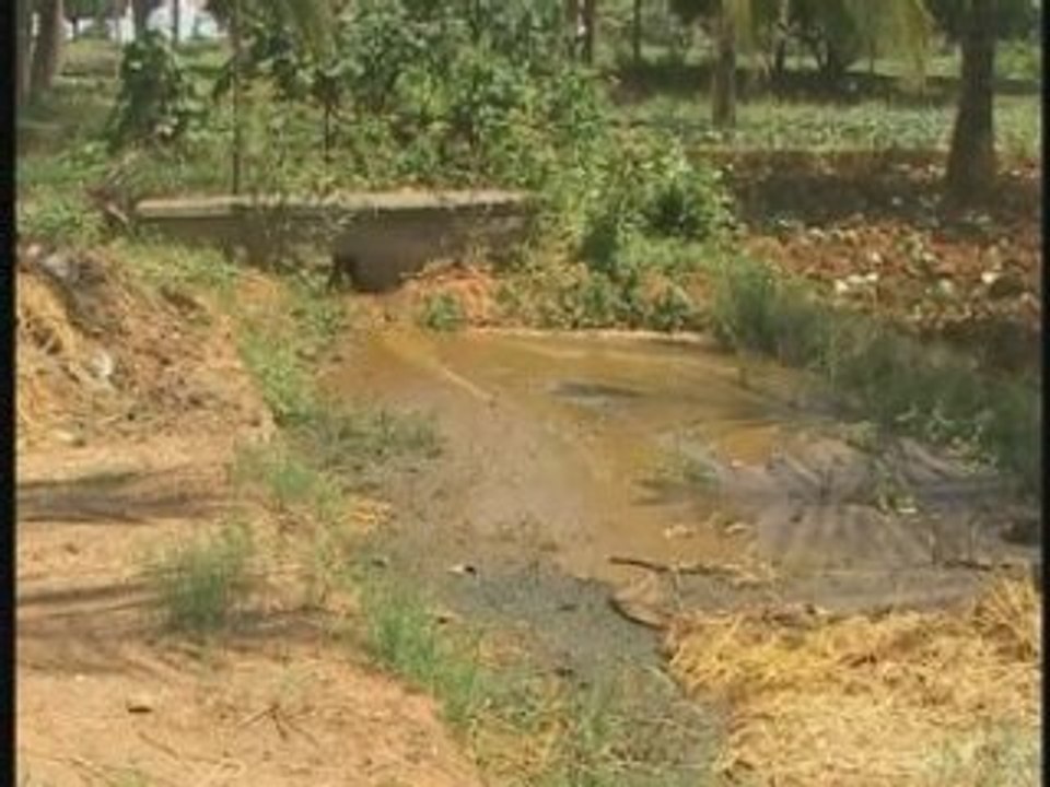 Biogaz_en_Inde