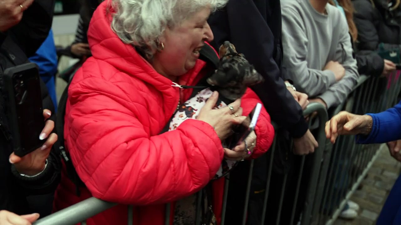 Queen fawns over 'adorable' dog on St Austell visit