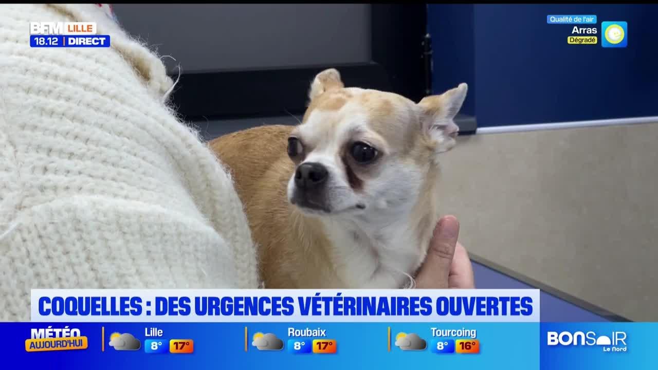 Le journal de 18h du mardi 24 mars 2026