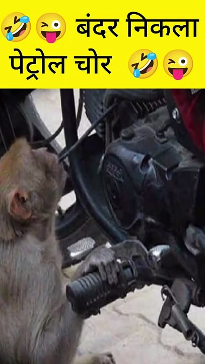 बंदर बना पेट्रोल चोर 😱⛽ | Monkey Stealing Petrol Funny Video #shorts