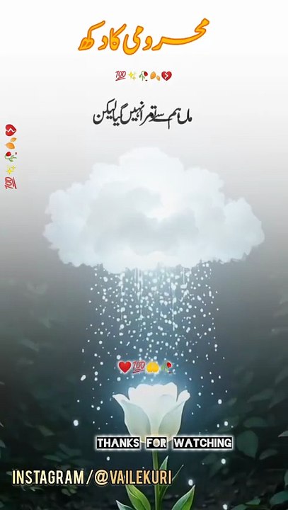 Maa