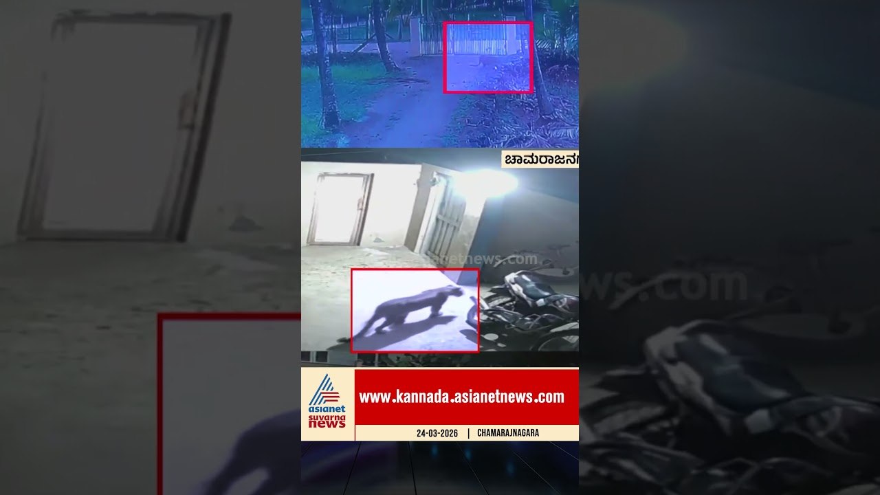 ಊರೊಳಗೆ ಚಿರತೆ ಓಡಾಟ; ವಿಡಿಯೋ ವೈರಲ್ | #chamarajanagara #leppard #wildlife #suvarnanews