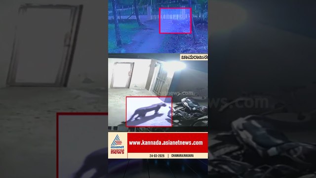 ಊರೊಳಗೆ ಚಿರತೆ ಓಡಾಟ; ವಿಡಿಯೋ ವೈರಲ್ | #chamarajanagara #leppard #wildlife #suvarnanews