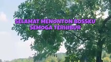 Membalas Cinta Yang Terluka - Episode Lengkap