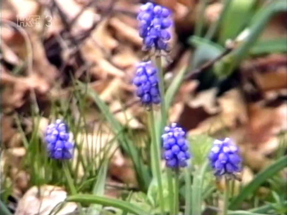 Velebitom 1996.