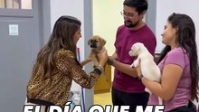 María Becerra adoptó a su octavo perrito en Chile y emocionó a todos en redes