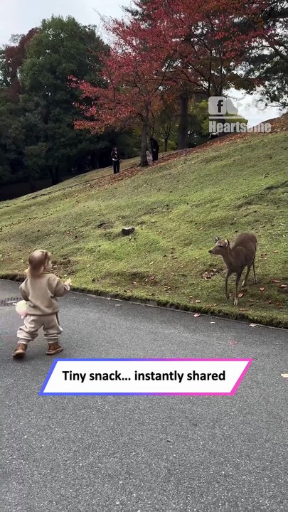 Toddler Shares Snack With Animal… Pure Kindness Moment 🥹🐾|| Heartsome 💖