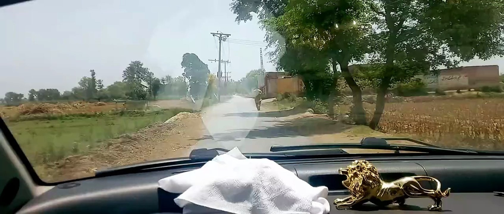 محبتِ اہلِ بیت تو تخمِ ایمان ہے۔