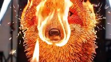 Mind-Blowing Matchstick Fox Sculpture Set on Fire! | Insane Burning Matchstick Art