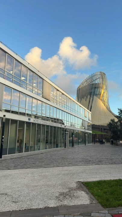 Tell me you’re an International Student in Hospitality Management without telling me you’re a Student in Hospitality Management