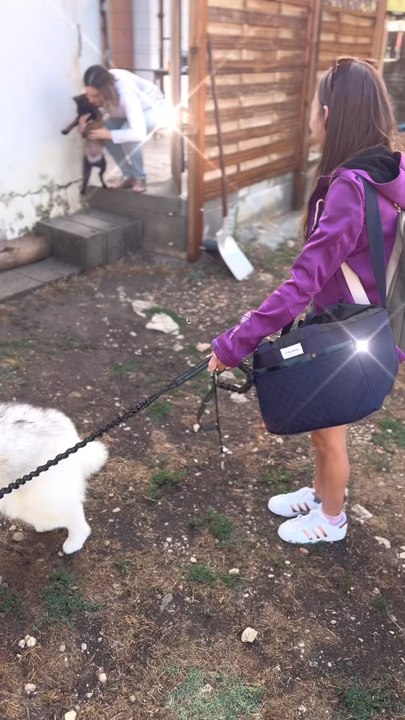 On est tous dans le même bateau : la culpabilité du deuxième est parfois dur à porter, mais à force, on y arrive 💛🐕
