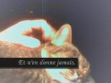 Le chat 2ème partie