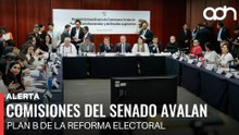 🚨¡Última Hora! Comisiones del Senado avalan Plan B de la Reforma Electoral