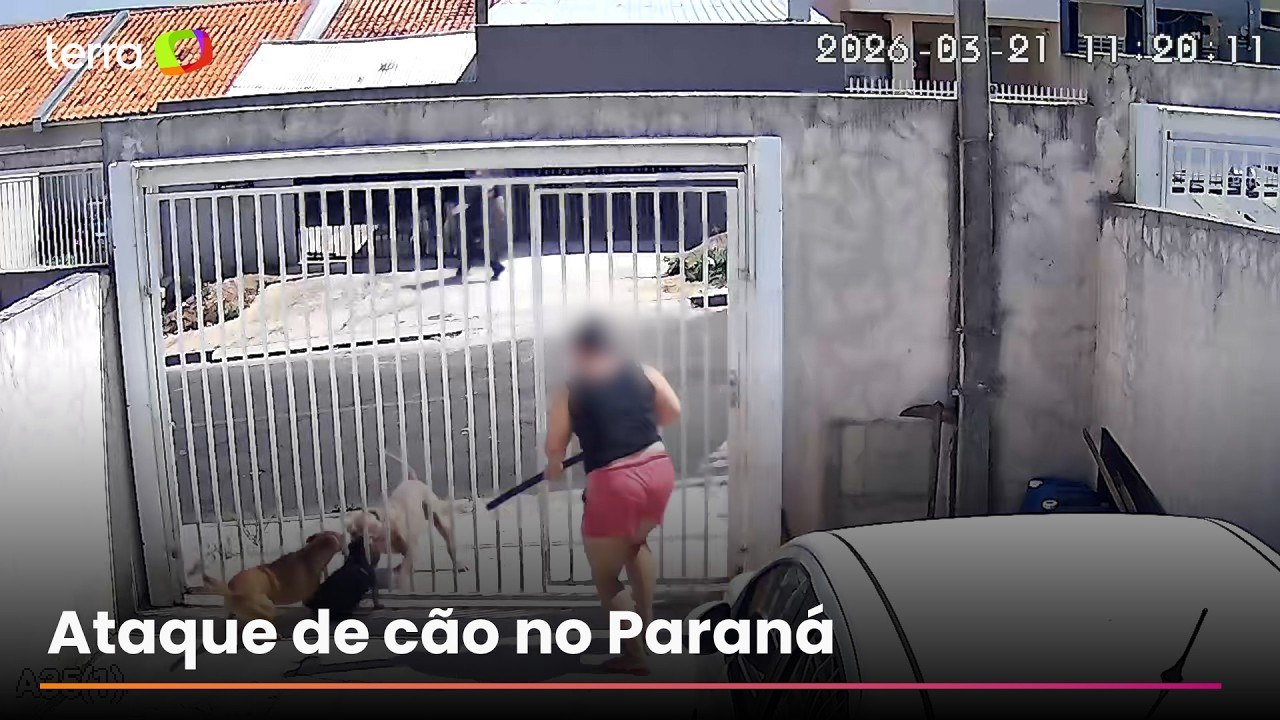 Pitbull foge e ataca cães que estavam dentro de outras casas