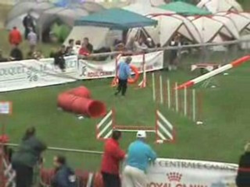 Chpt de France 08 U-Bahn 3eme Manche - Agility