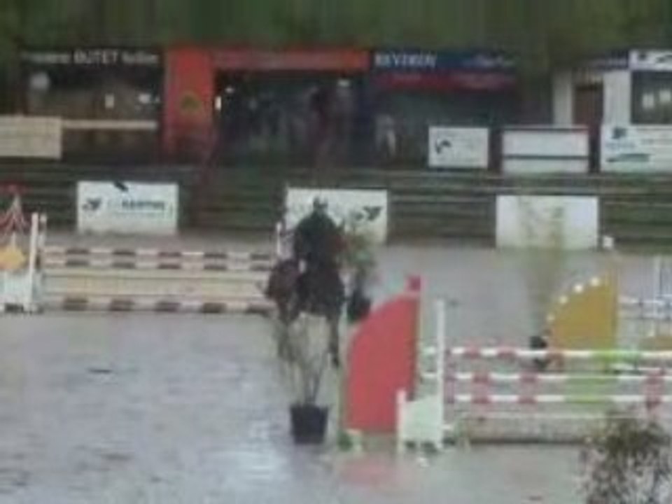 Ovatio ( 2002 )horse for sale by cincaba rouge / Uriel