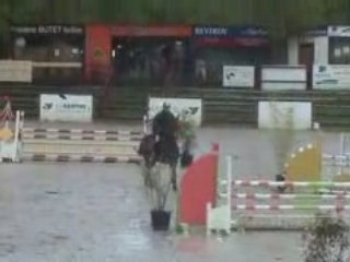 Ovatio ( 2002 )horse for sale by cincaba rouge / Uriel