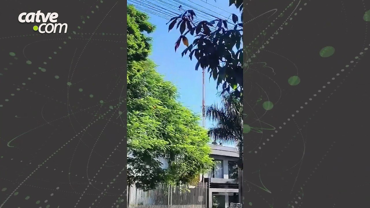 Suspeito morre após troca de tiros com a PM e três são presos em Foz do Iguaçu