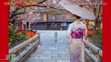 ワタシが日本に住む理由「釣りなのに崖登り？日本古来の“テンカラ”を世界に発信」 (2025)