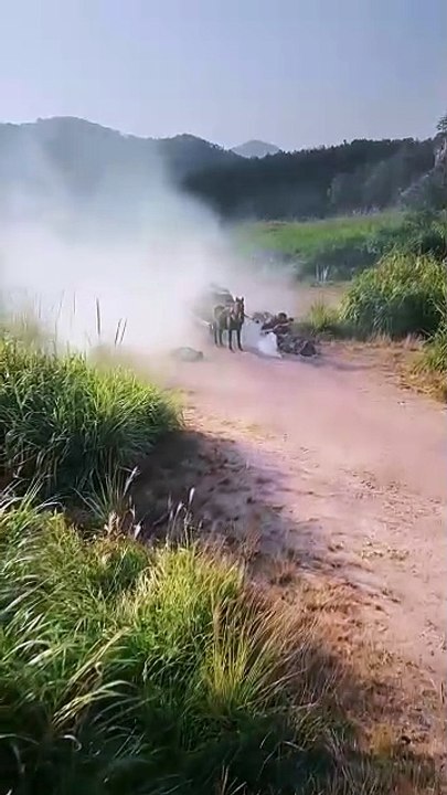 Exiled, Armed, And Unstoppable