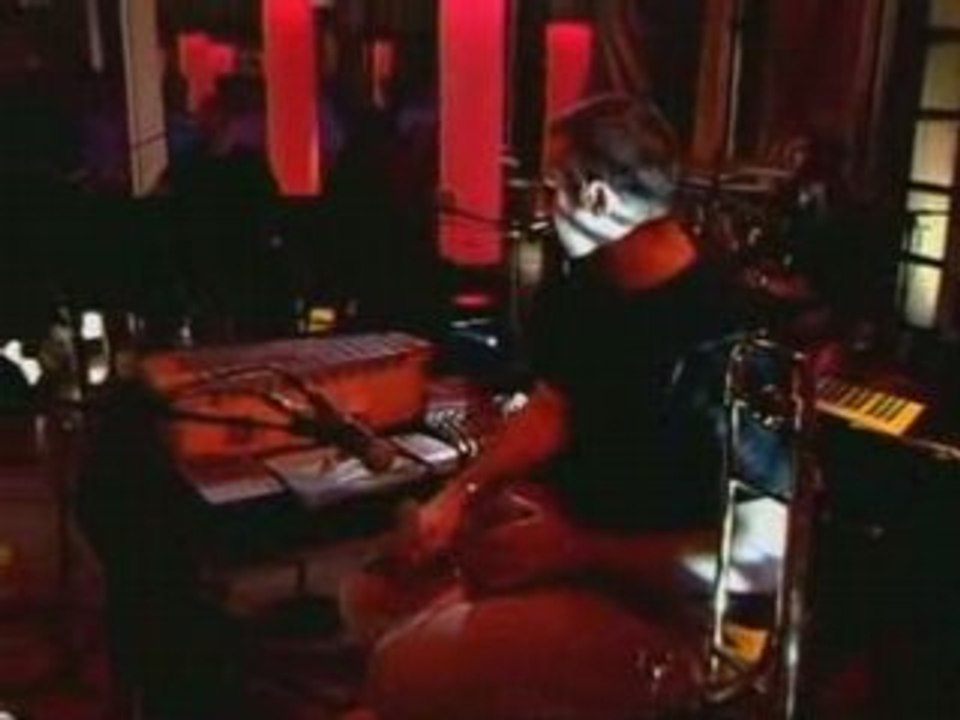 Feist When I was a young girl Live