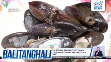 Anim, sumama ang pakiramdam matapos kumain ng tahong at iba pang lamang-dagat na nakuha sa Brgy. Singcang Airport | Balitanghali