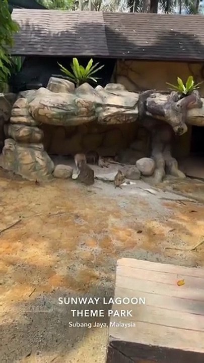 Heart Touching Naat Rahman Ya Rahman 🌙 | Stunning Nature & Zoo Clips Rahman Ya Rahman 🕌 Soulful Naat with Amazing Zoo Views 🌿