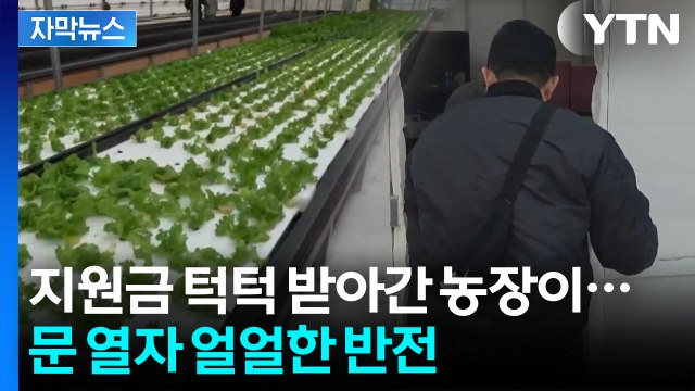[자막뉴스] 정부 지원금으로 이런 짓을...기가 차는 청년농부의 실체 / YTN