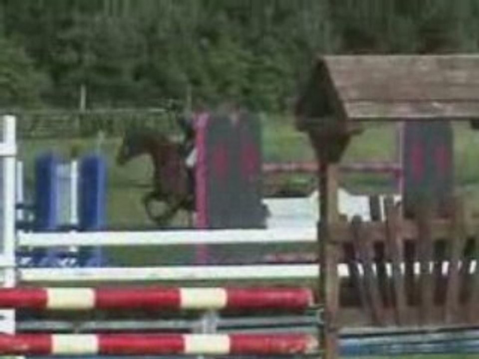 Espri hunter jumper horse 2004 by espri / Clinton