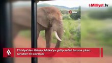 'Sakın dokunmayın' uyarısına aldırmayan Türk turistler kabusu yaşadı! 5 tonluk fil saldırıya geçti