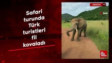 Safari turunda Türk turistleri fil kovaladı