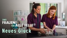 Neues Glück · Zwei Frauen für alle Felle