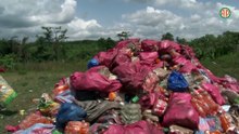 Région- Aboisso / Plus de 12 tonnes de produits avariés détruites à Aboisso