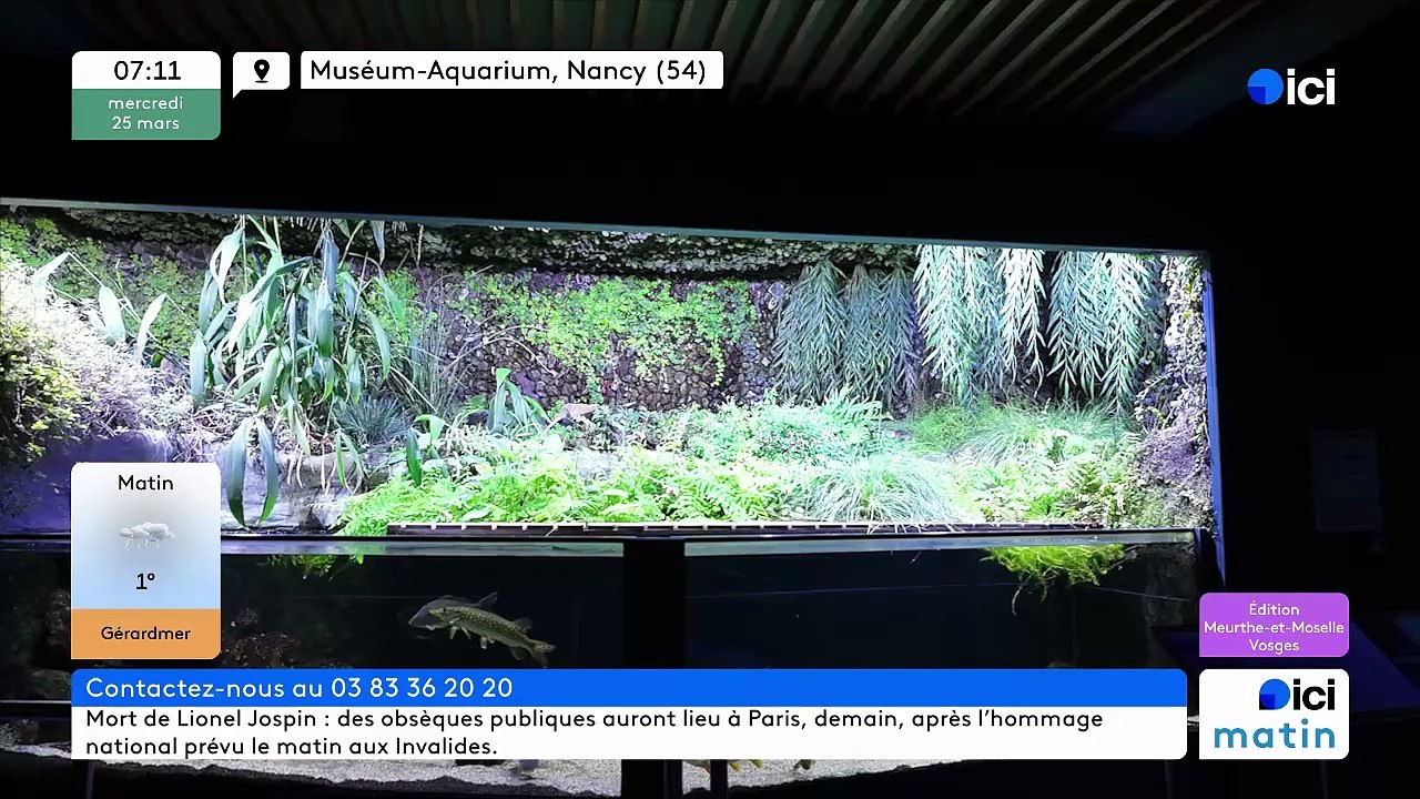 25/03/2026 -  ici matin par Ici Lorraine (Meurthe-et-Moselle et Vosges) en vidéo