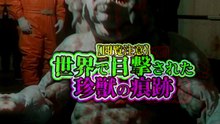 世界で目撃された 幻の珍獣の痕跡