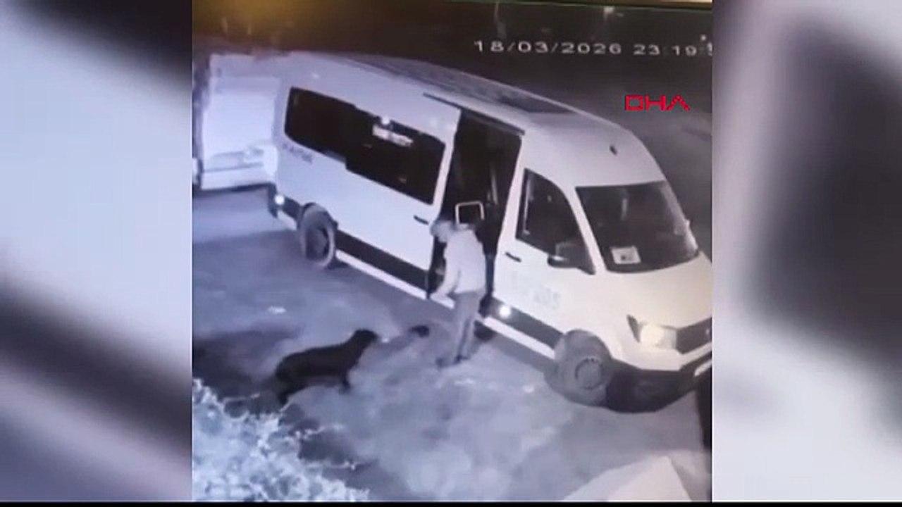 İstanbul- Avcılar'da mahallenin maskotu 'Garip' isimli köpeğin çalındığı anlar kamerada