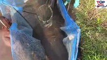 FEMME ET AQUACULTURE