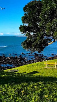 Serene Taranaki Coast New Zealand Ocean Walk Nature Relaxation