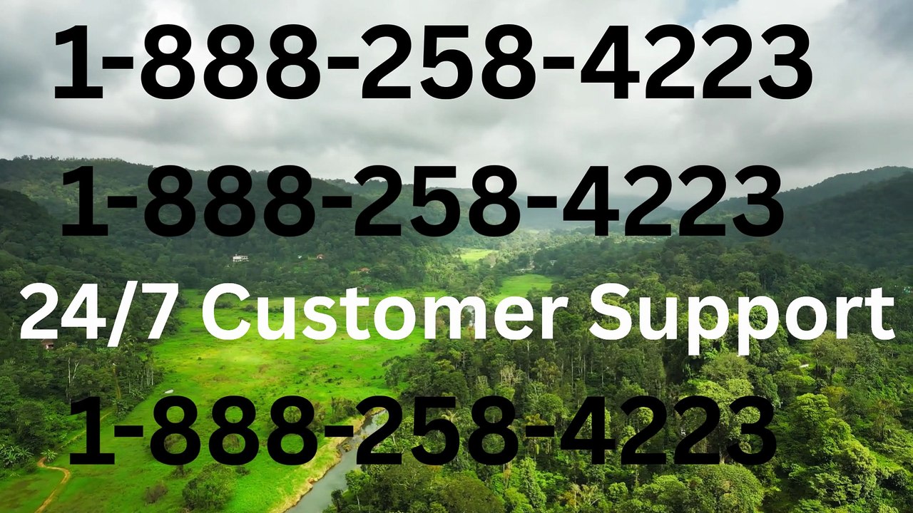 Coinbase Wallet 101: How to Get Help by Phone and Chat