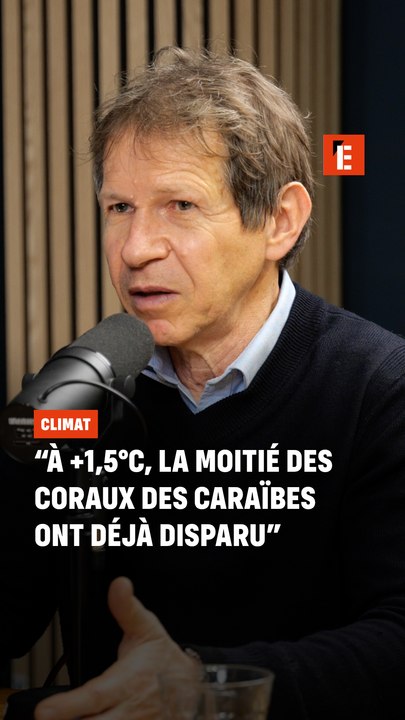 "A +1,5 degrés, la moitié des coraux des Caraïbes ont déjà disparu"